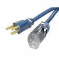 American Imaginations 118.11 in. Blue Plastic Lighted Single Outlet Cable AI-37263